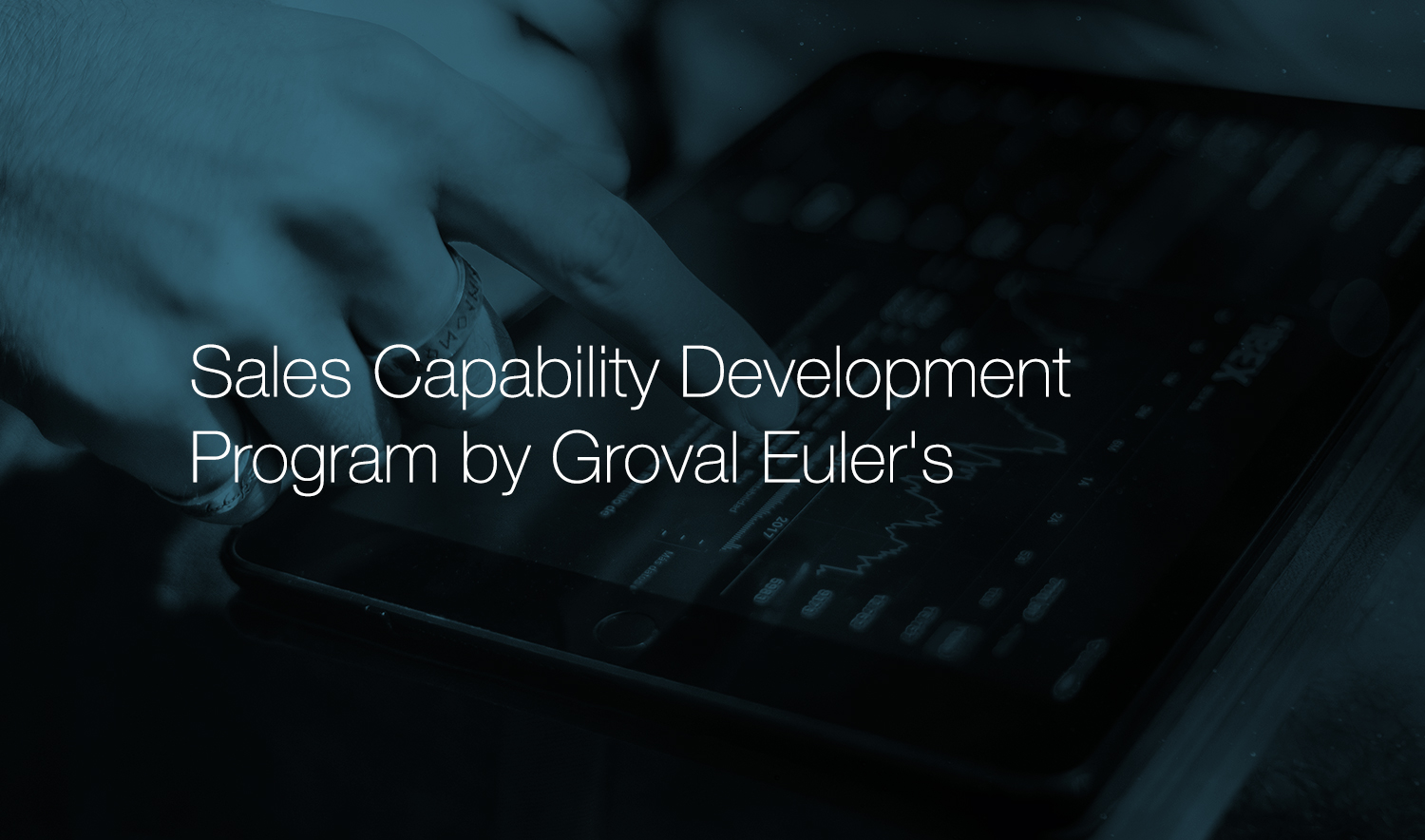 Sales Capability Development Program